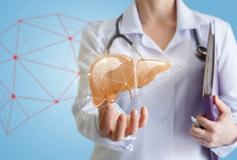 Know the Essential Facts about Your Liver