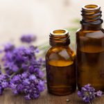 Scientific and Medicinal Benefits of Lavender Essential Oil