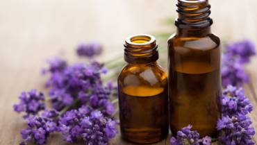 Scientific and Medicinal Benefits of Lavender Essential Oil