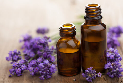 Scientific and Medicinal Benefits of Lavender Essential Oil