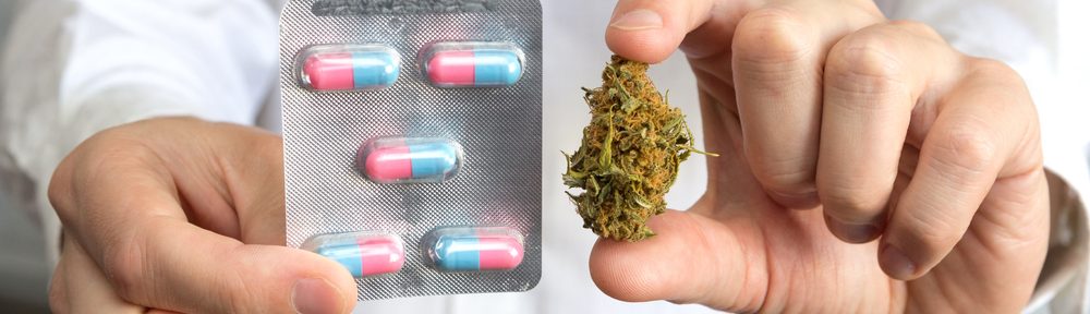 This Medicinal Plant Can Fight Cancer & Deadly Diseases