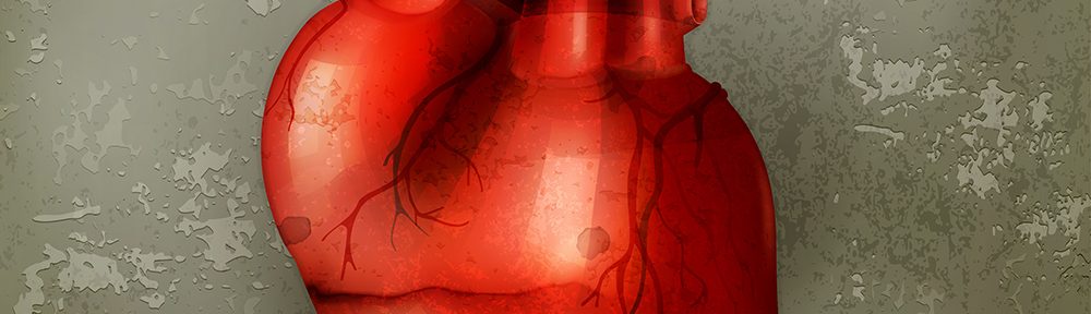 Seven Factors That Can Predict Your Heart Health