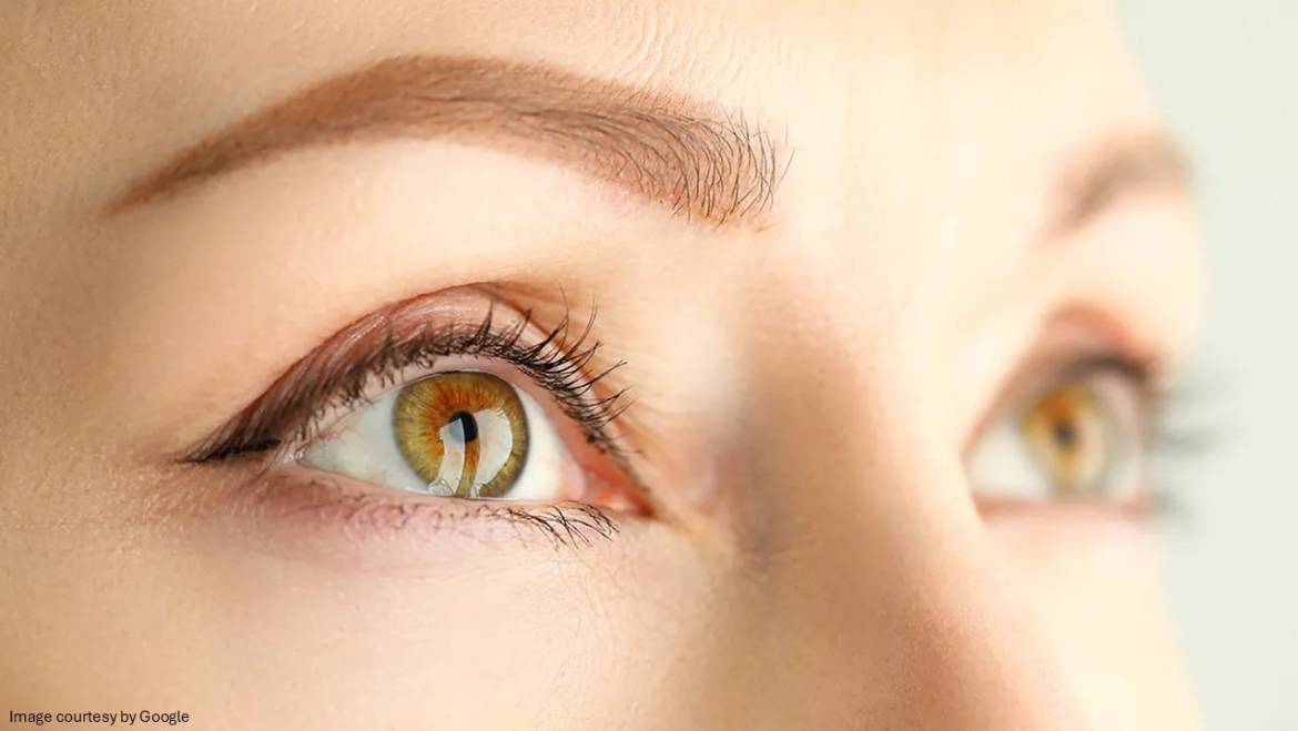 Careprost Eye Drops – Best Means to Beautify Eyelashes