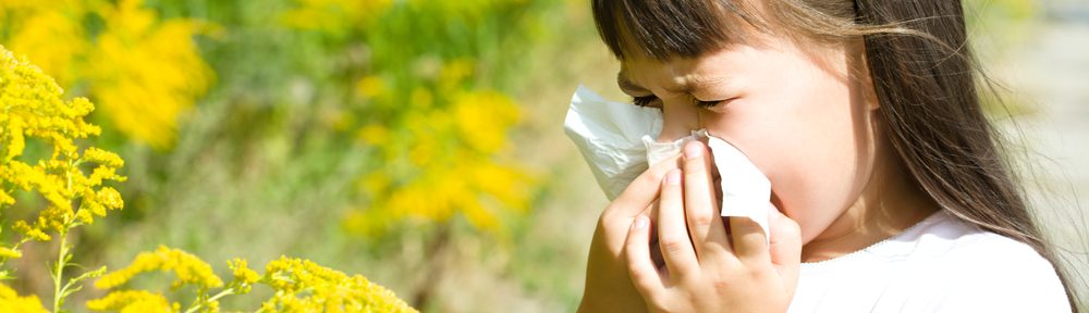 Do Allergies Develop Before Birth?