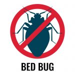 Bedbugs Seemingly Increase Your Risk of Allergic Reactions and Deadly Asthma Attacks