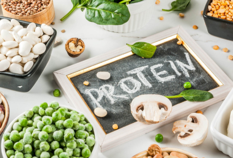 meatless protein