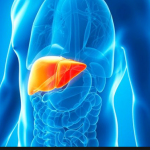 Tips to Have a Healthy Liver