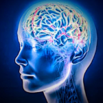 5 Safety Measures for Alzheimer’s Patients