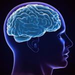 7 Early Signs of Alzheimer’s Disease