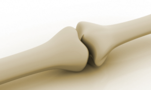 healthy bones