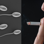 Can Smoking Cause Infertility in Males?