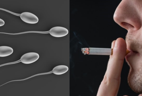 SMOKING CAUSE INFERTILITY IN MALES