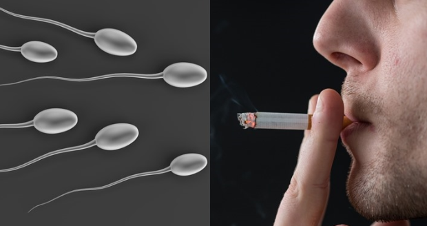 Can Smoking Cause Infertility in Males?