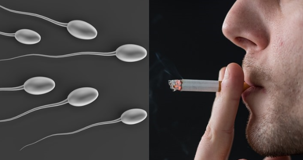 SMOKING CAUSE INFERTILITY IN MALES