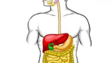 5 Tips to Improve Digestive System