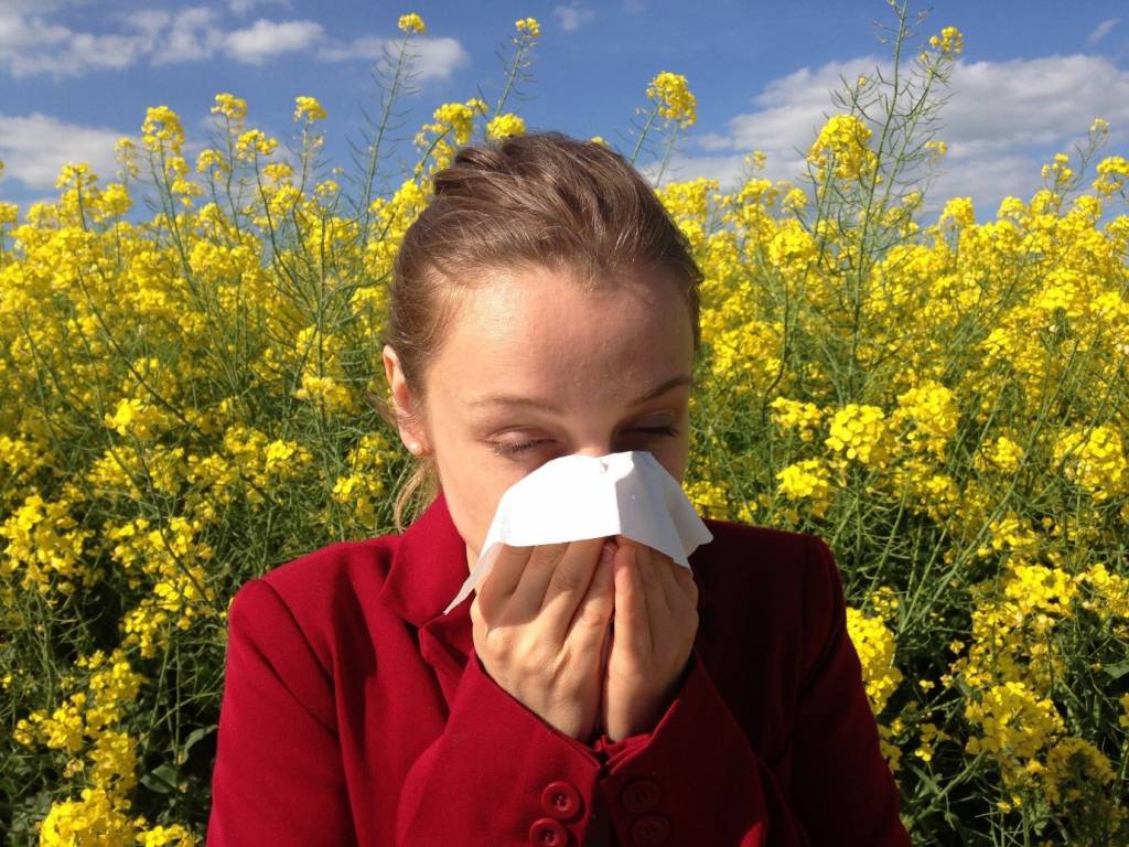 How to an Allergy Expert Tips AllDayChemist