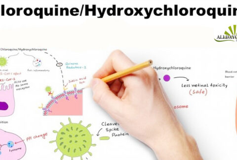 Hydroxychloroquine Mechanism of Action 1