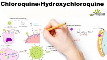 Chloroquine & Hydroxychloroquine Mechanism of Action