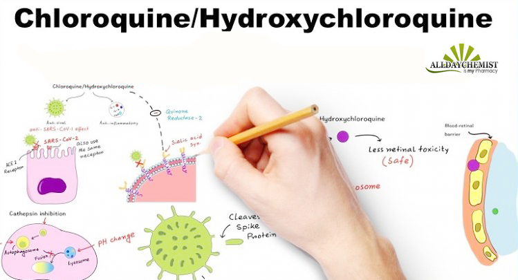 Chloroquine & Hydroxychloroquine Mechanism of Action