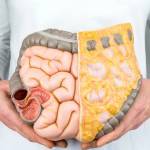 Common Gastro Medicines You Should Know About
