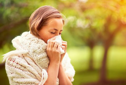 Top Summer Allergens Infographic: Common allergens during summer including pollen, mold, dust