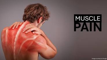 Understanding Muscle Pain: Causes, Treatments, and Preventative Measures