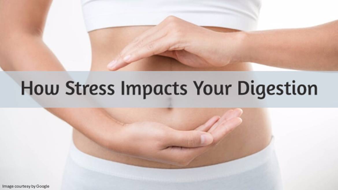 How Stress Impacts Your Digestive System and What to Do About It?
