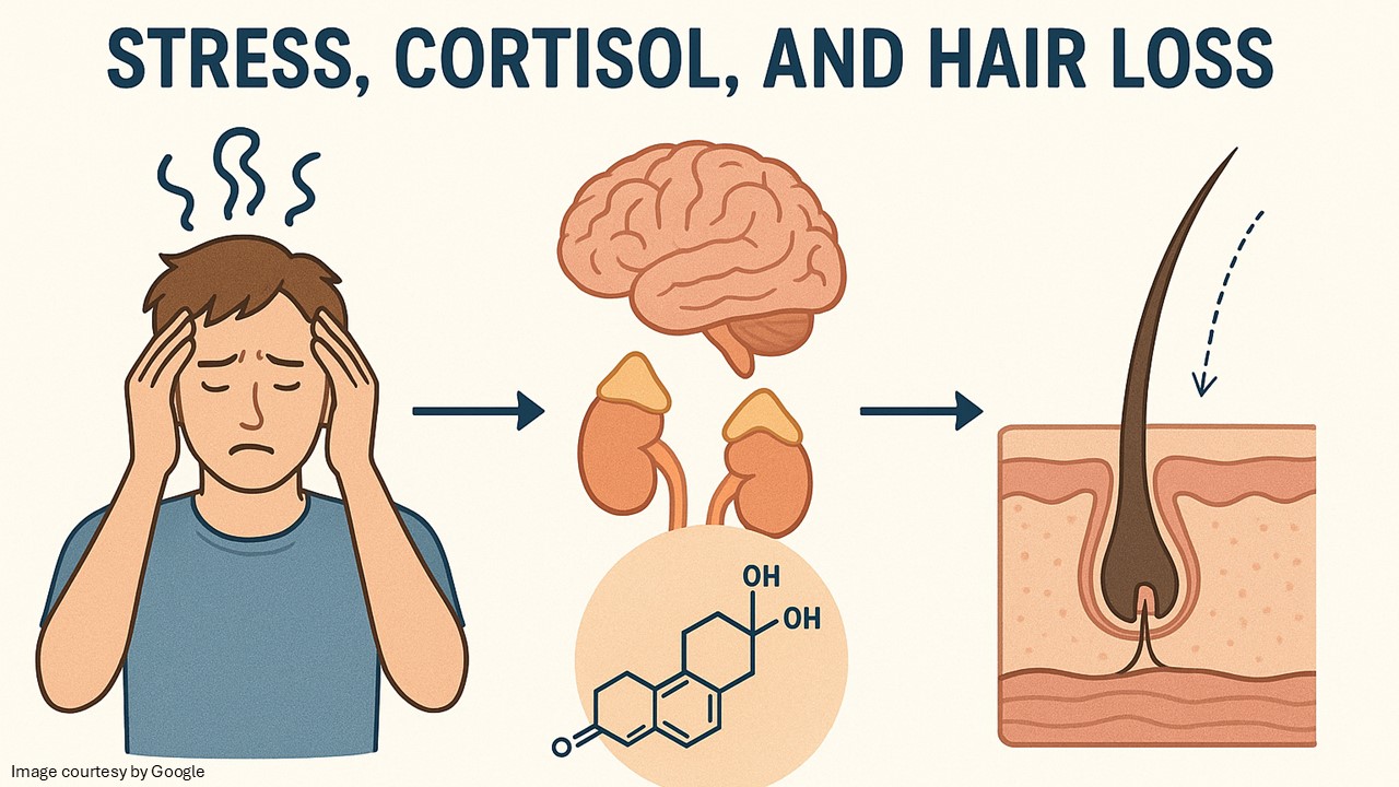 How stress contributes to hair loss