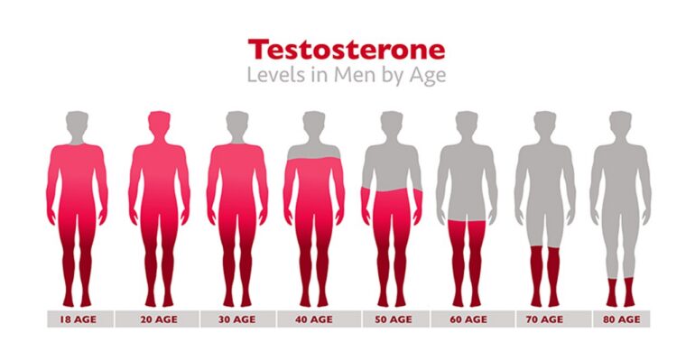 Testosterone level show in human body from high to low