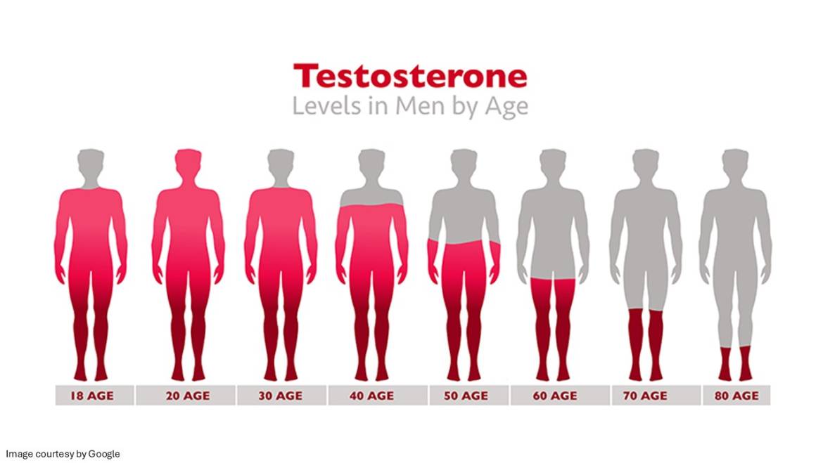 Why low testosterone can be harmful for men?