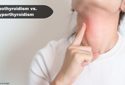 Difference between Hypothyroid and Hyperthyroid