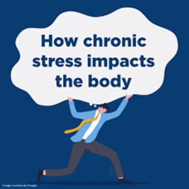 How Stress Affects Your Body?