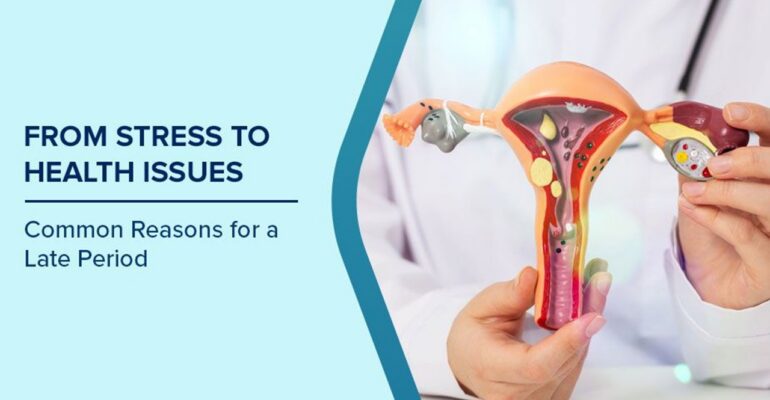 causes of late period