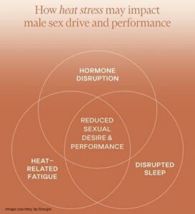rising temperatures on sexual life