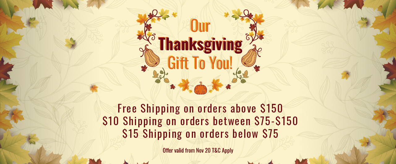Thanksgiving banner two